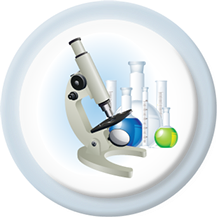 CRO/ Vendor Due Diligence