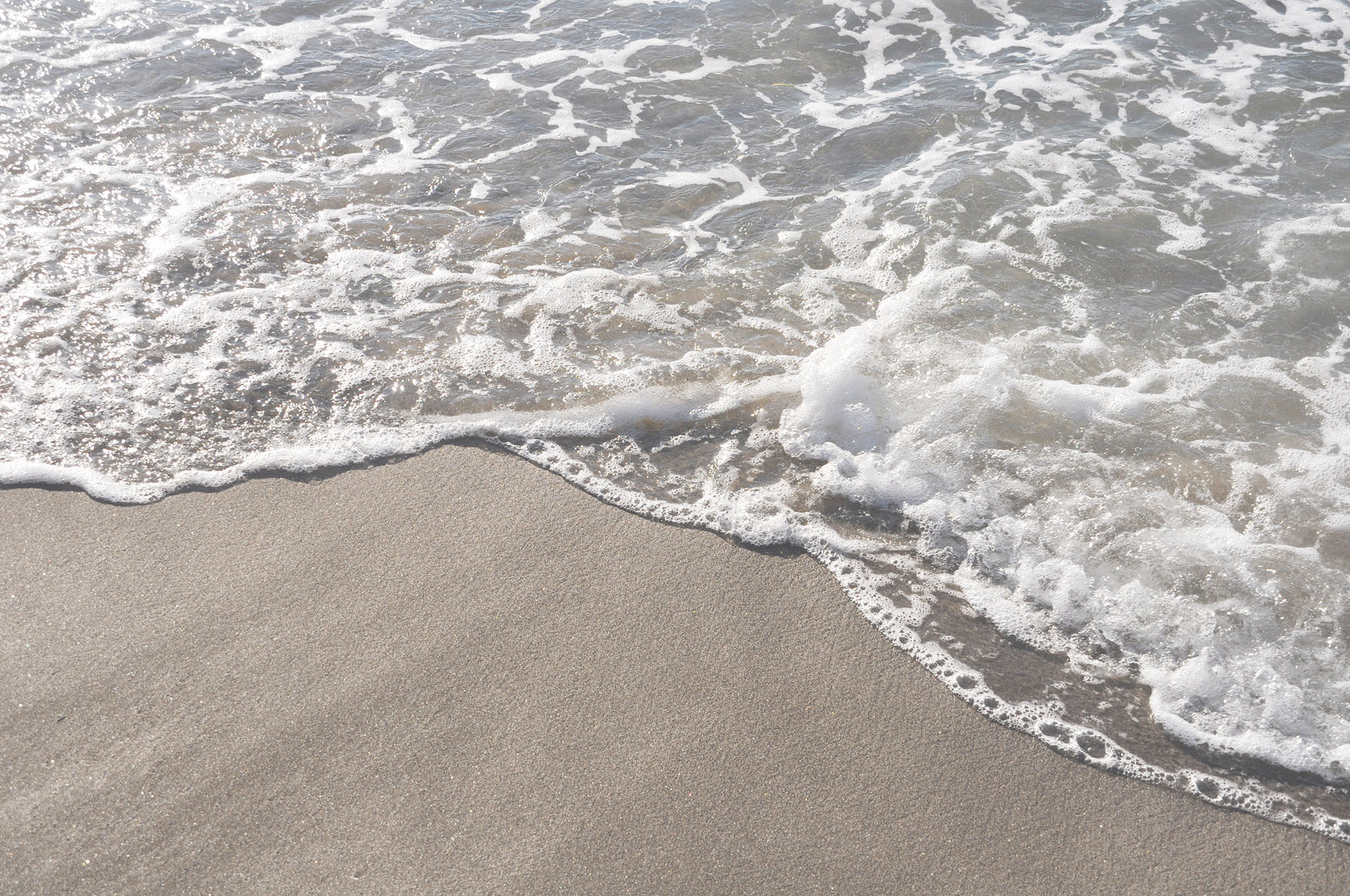 Shore Research and Development